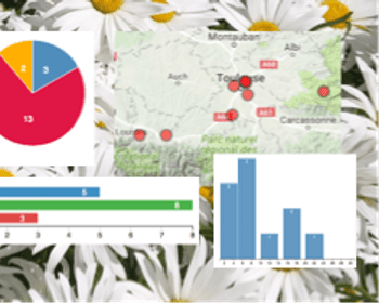 Rapport visuel automatique de Google Forms